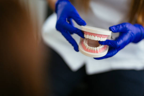 Why Choose Us for Your Dental Needs in Mount Vernon, AL