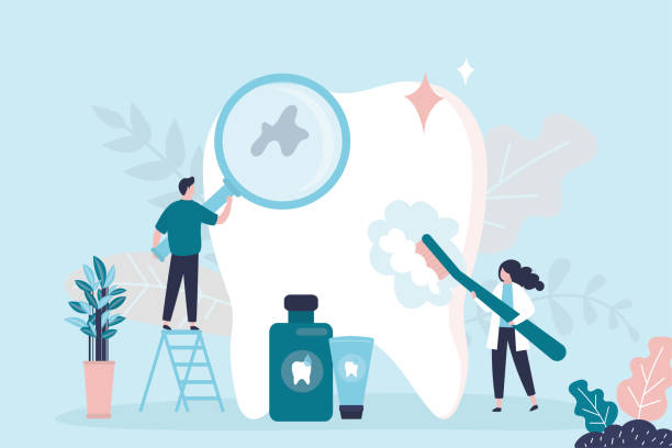  Mount Vernon, AL Holistic Dental Services Pros